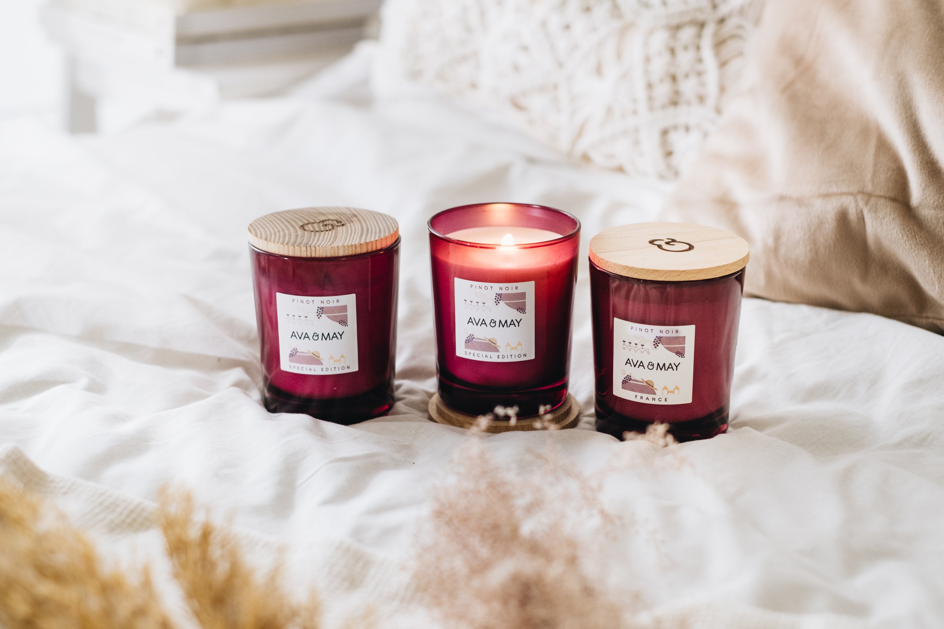 Winter's Favourites
