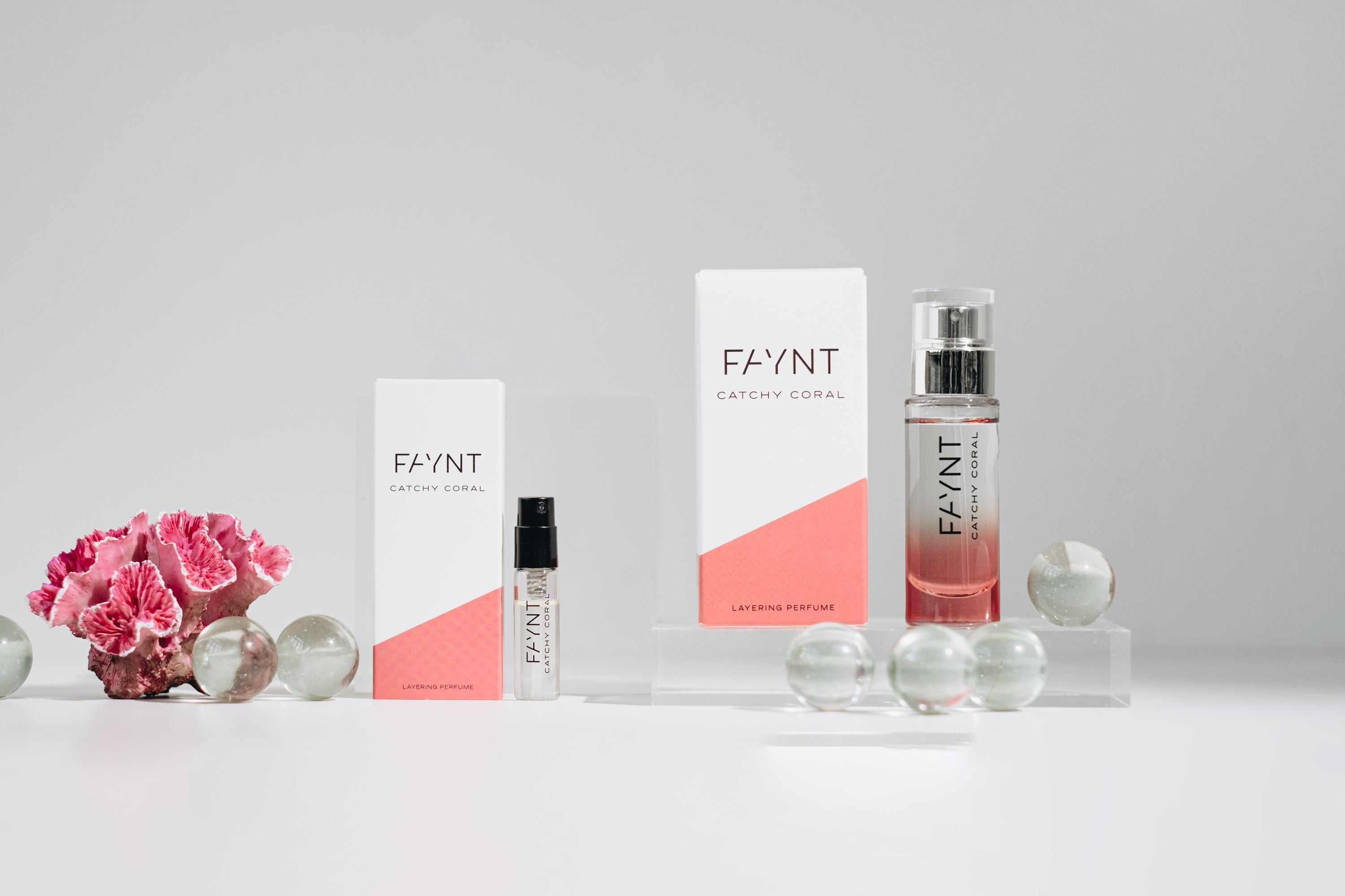 Explore Catchy Coral