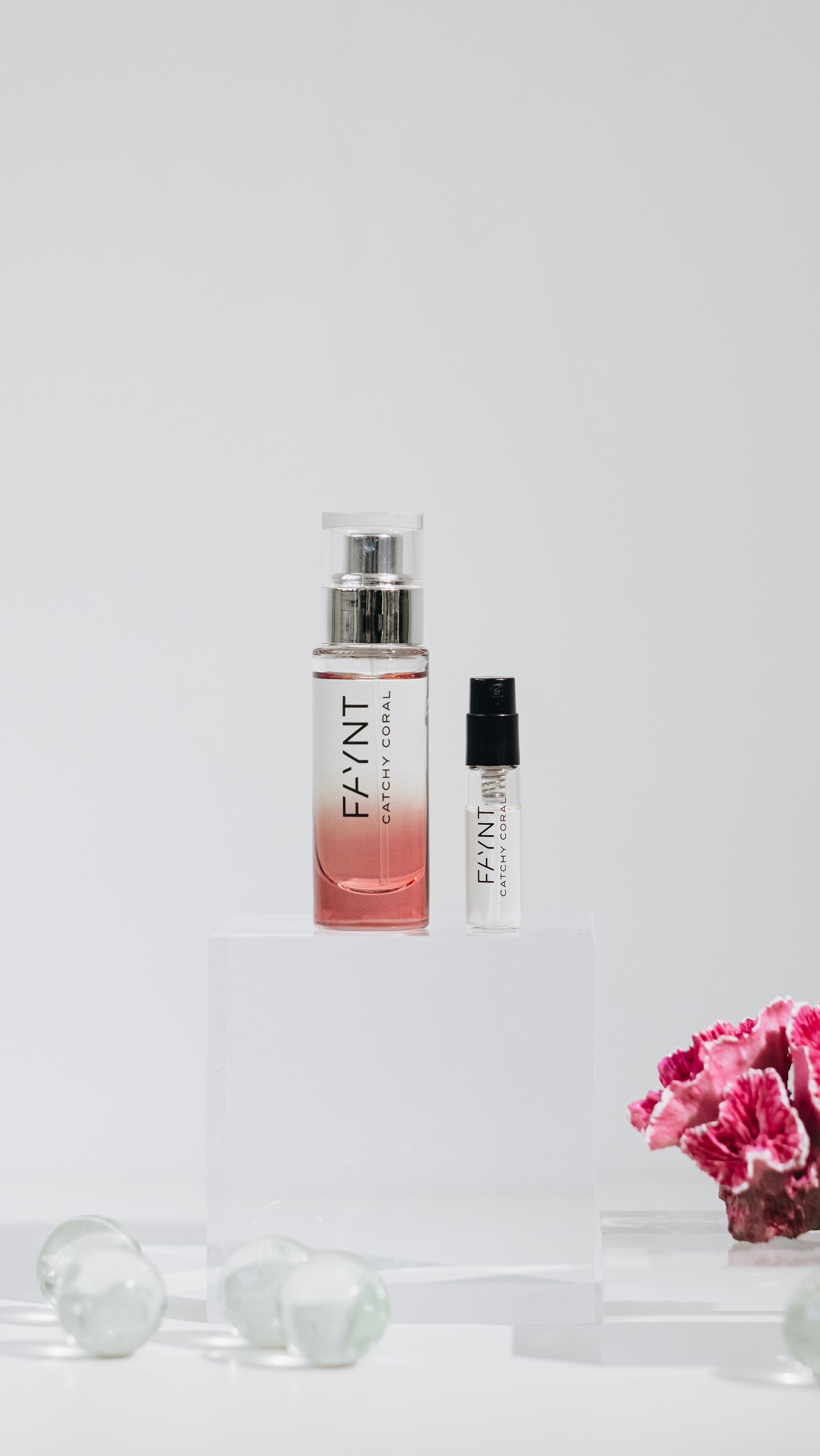 Explore Catchy Coral