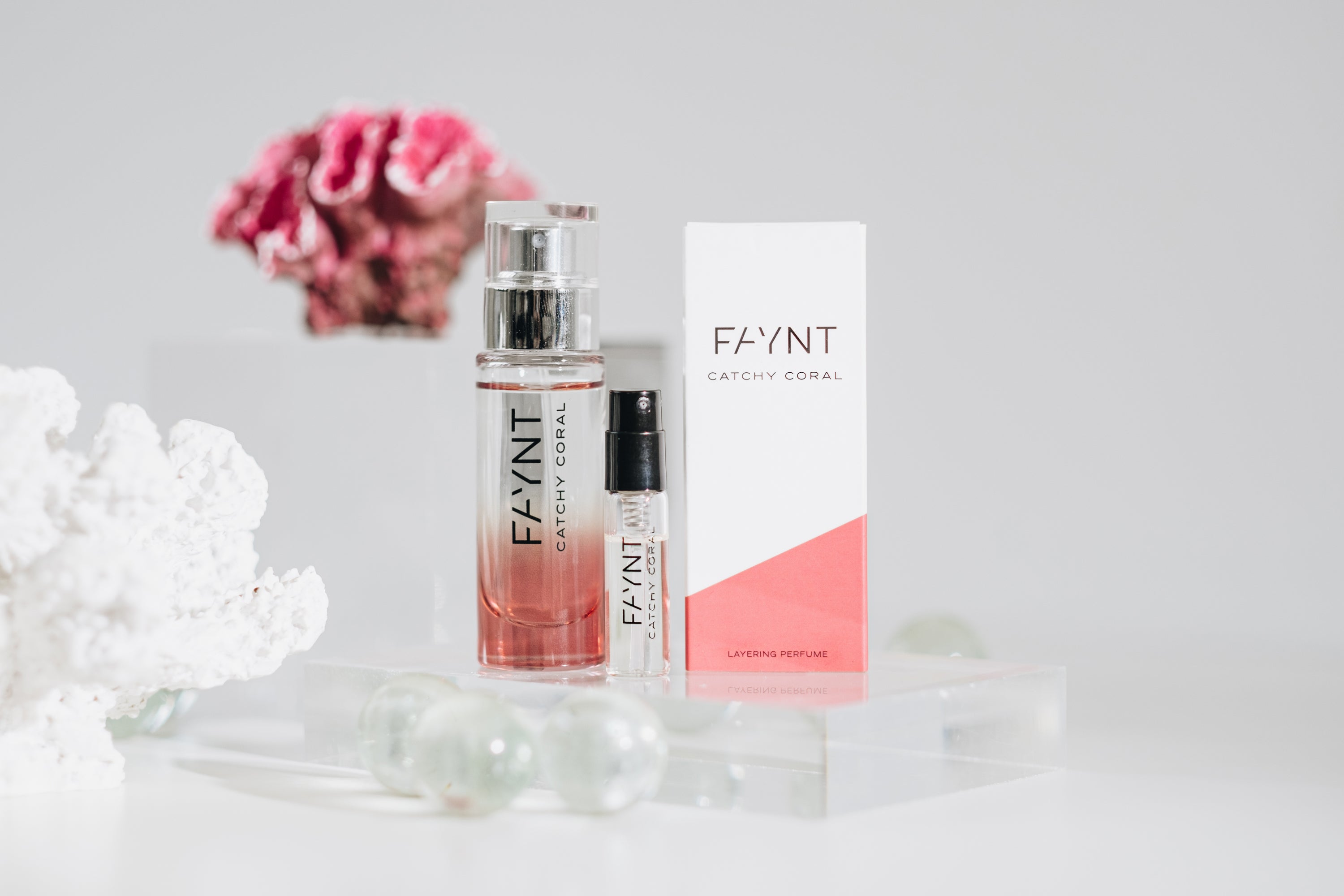 Explore Catchy Coral