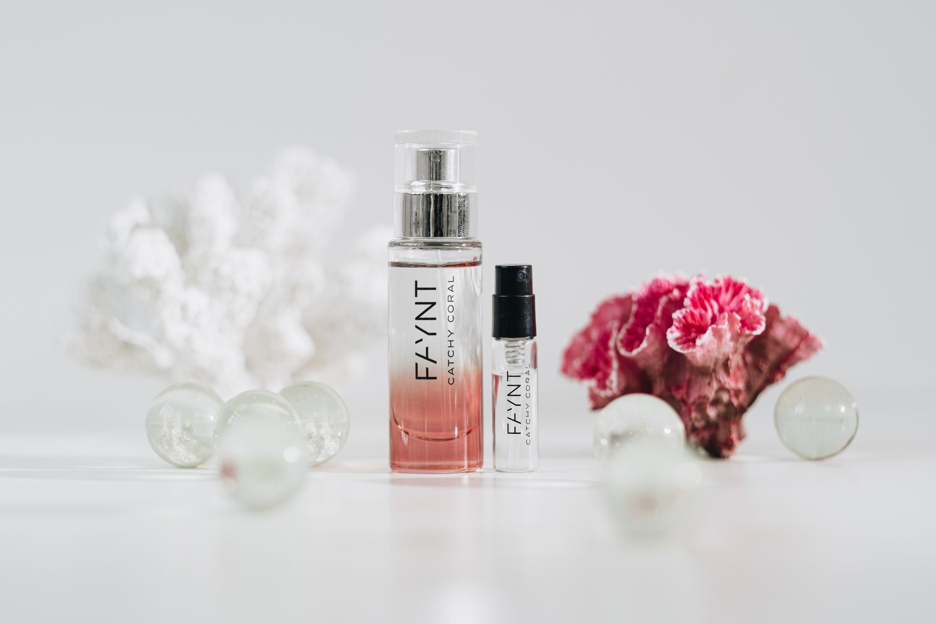 Explore Catchy Coral