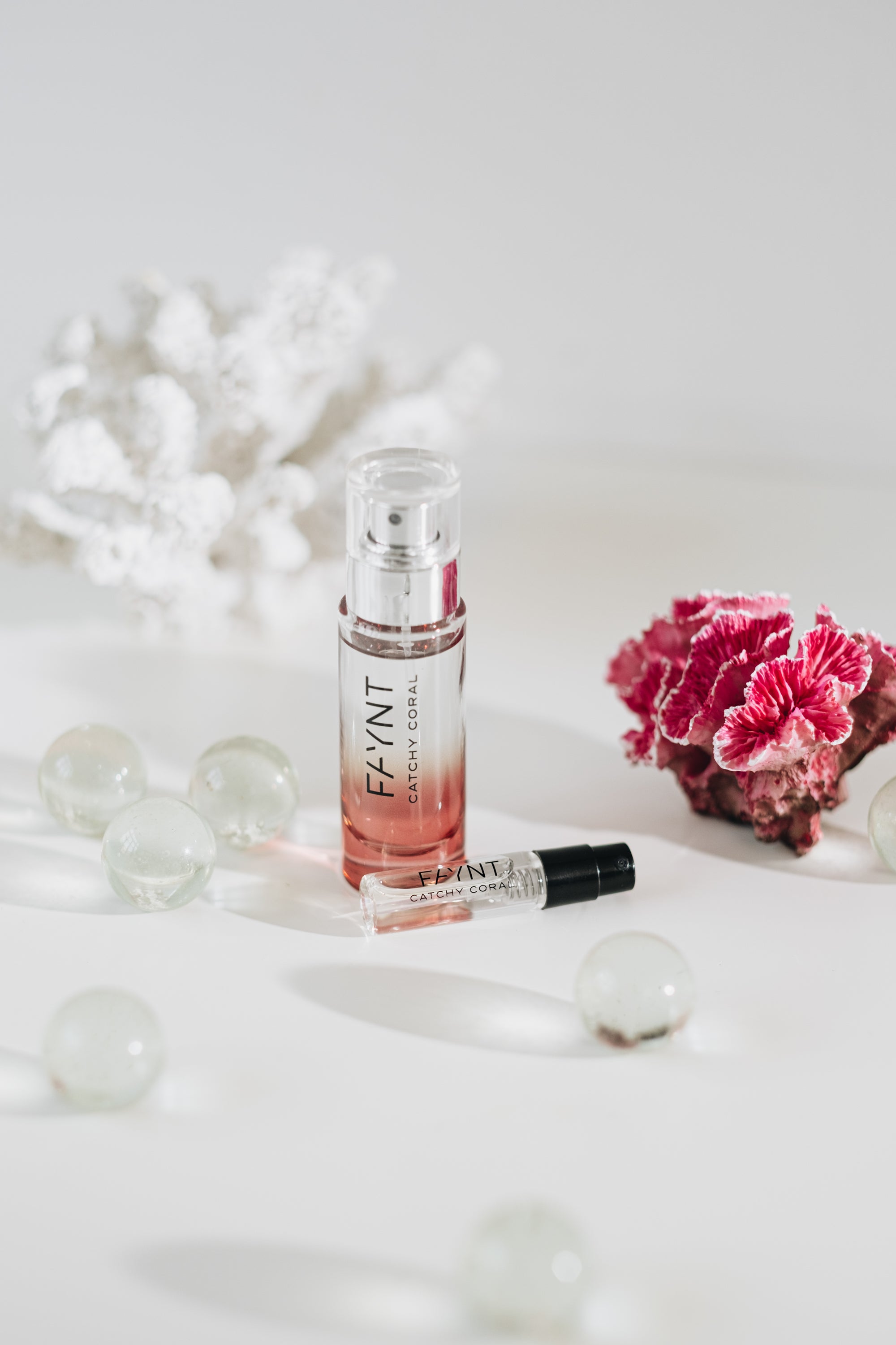 Explore Catchy Coral