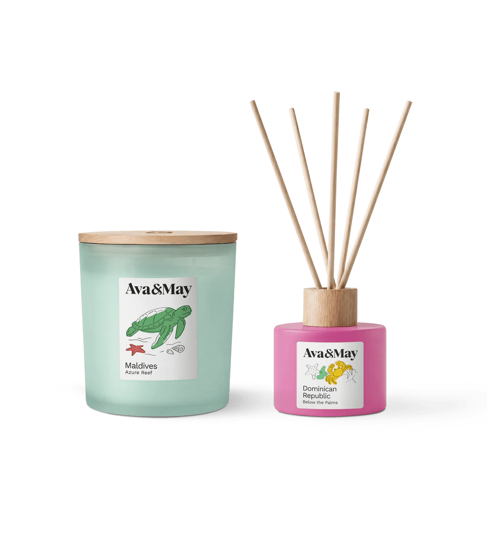 Set Tropical Bliss