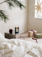 Candela profumata Santa's Sleighride