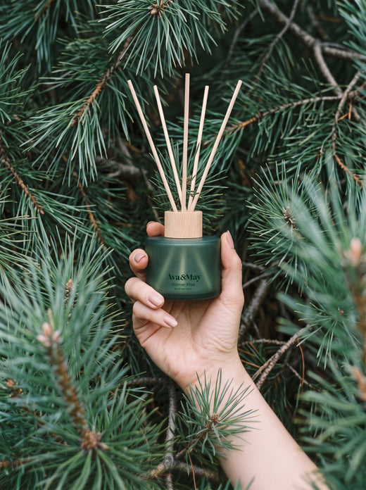 Diffusore a bastoncini Winter Pine