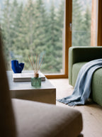 Diffusore a bastoncini Winter Pine