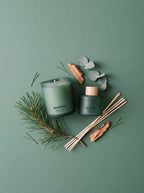 Set Winter Pine Home Fragrance