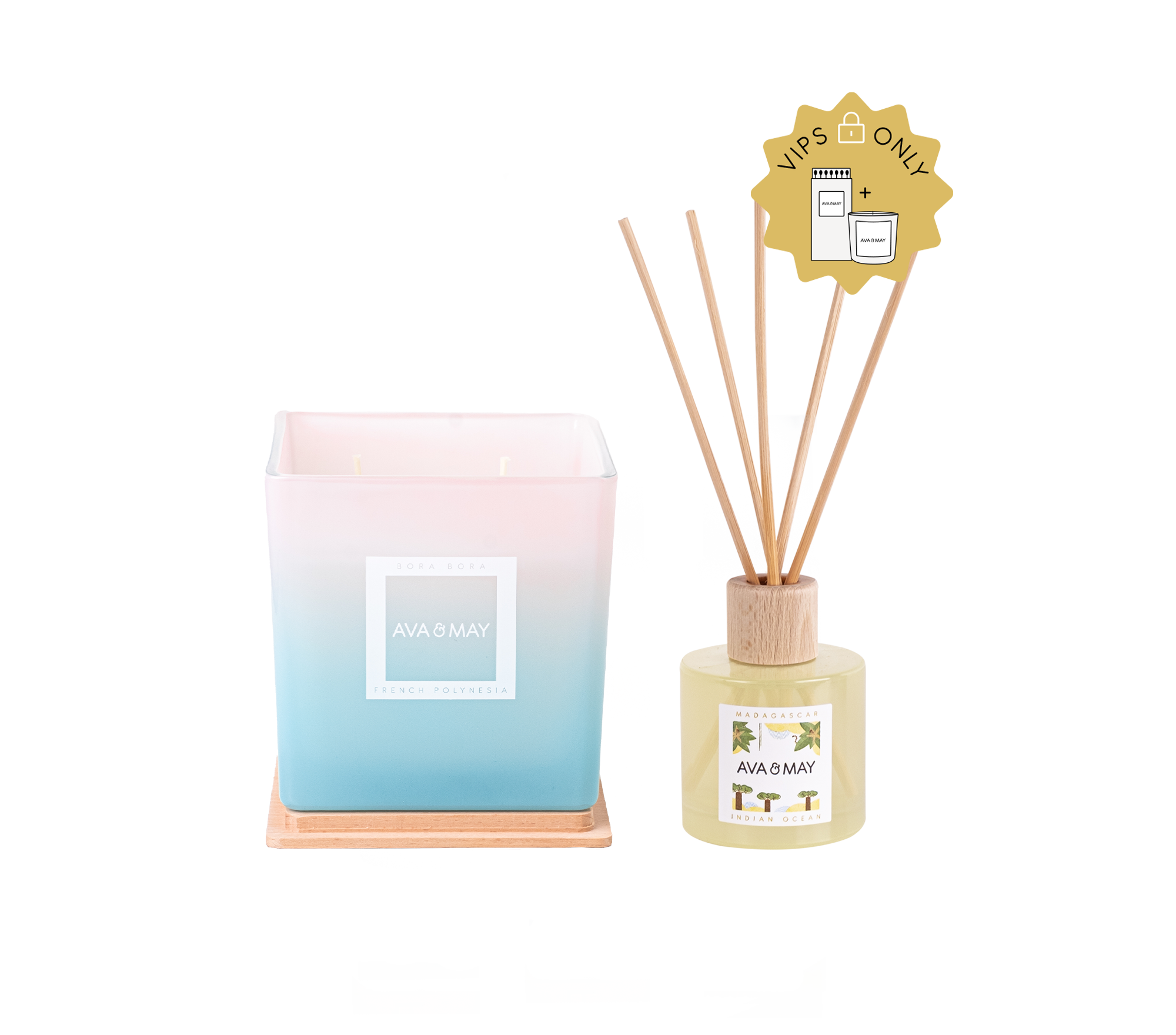 Coconut Paradise - VIP Edition