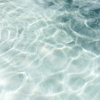 Note Acquatiche