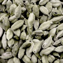 Cardamomo