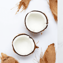Cocco