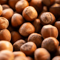 Nocciola
