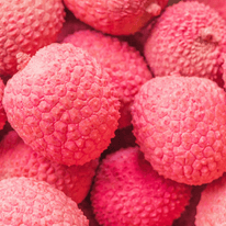 Litchi