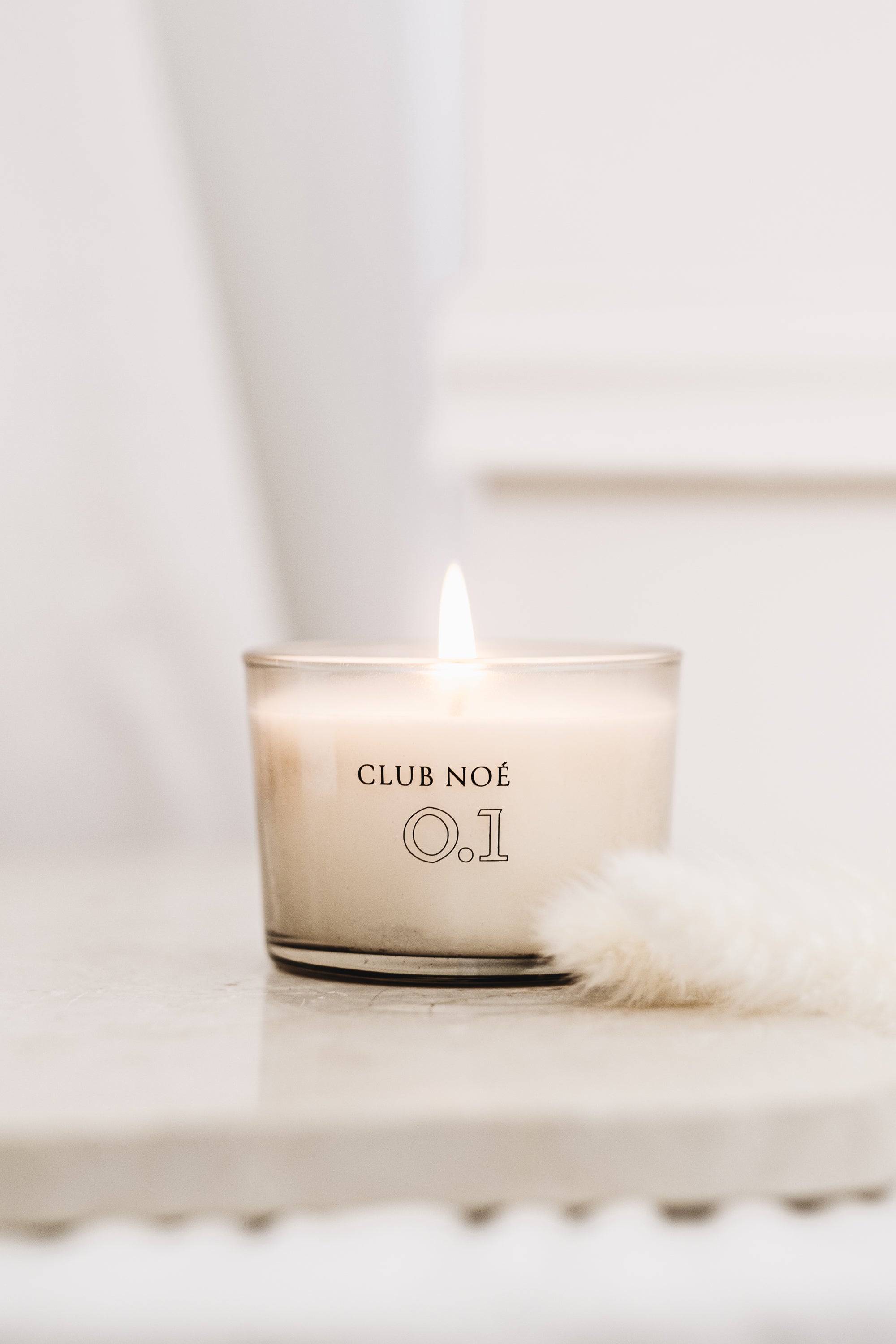 0.1 Home Fragrance Set