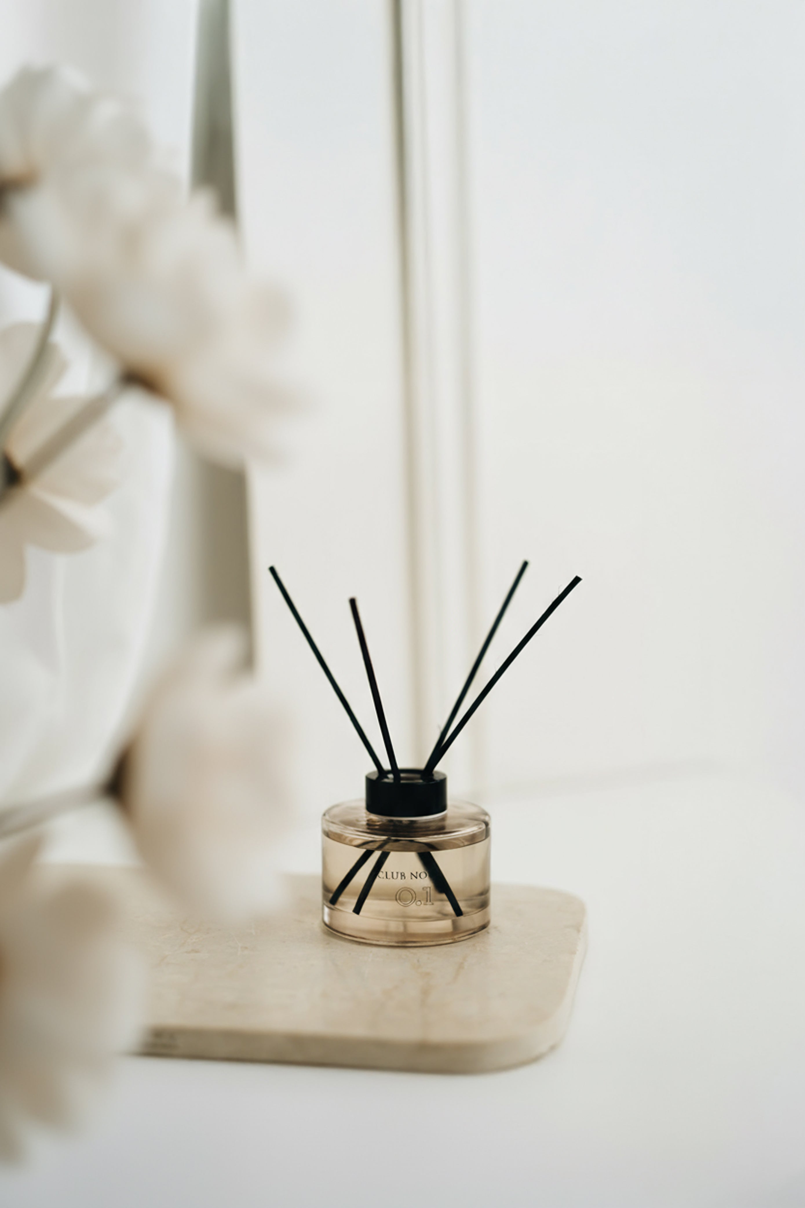 0.1 Diffusore a bastoncini