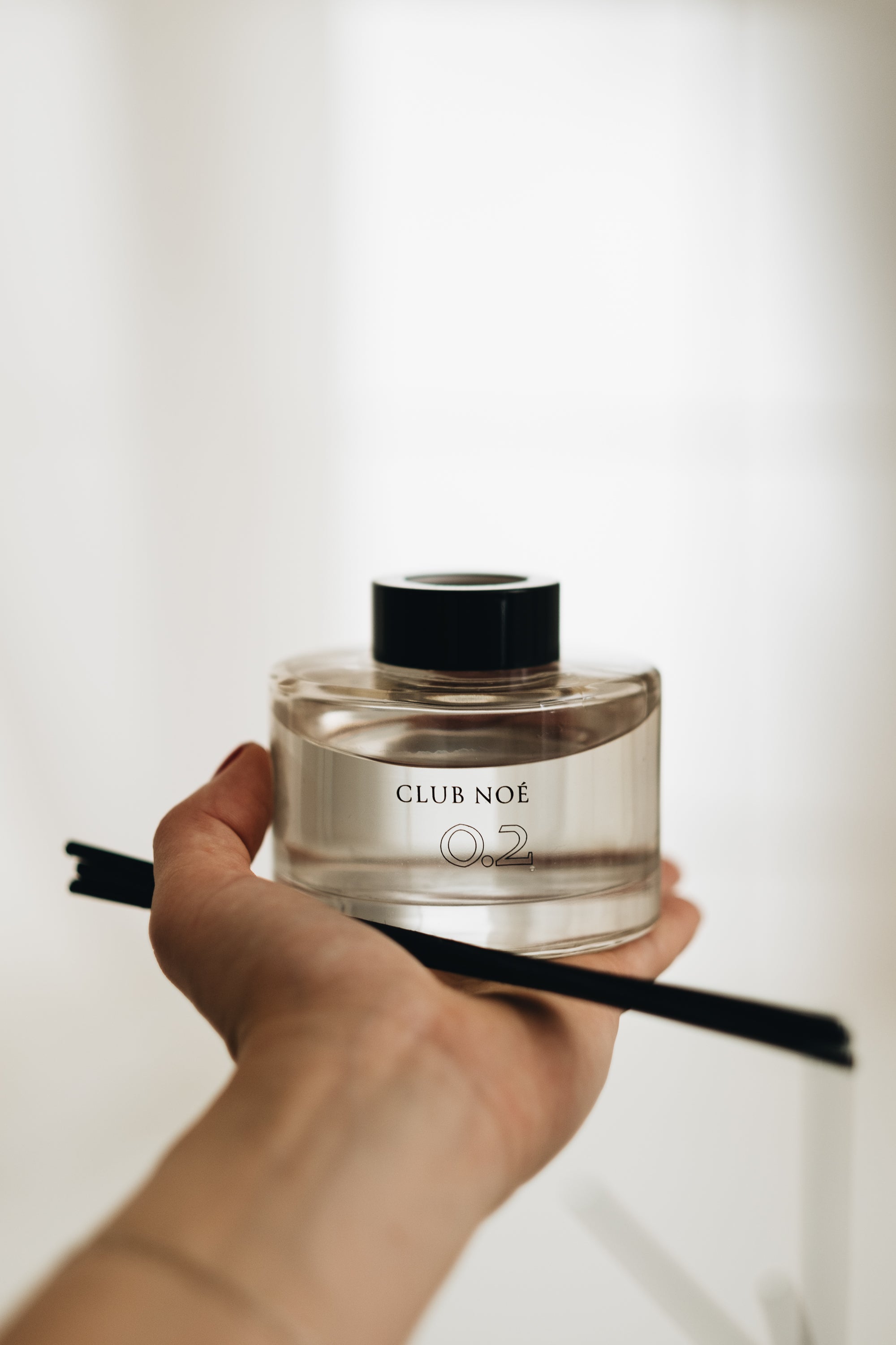 0.2 Diffusore a bastoncini