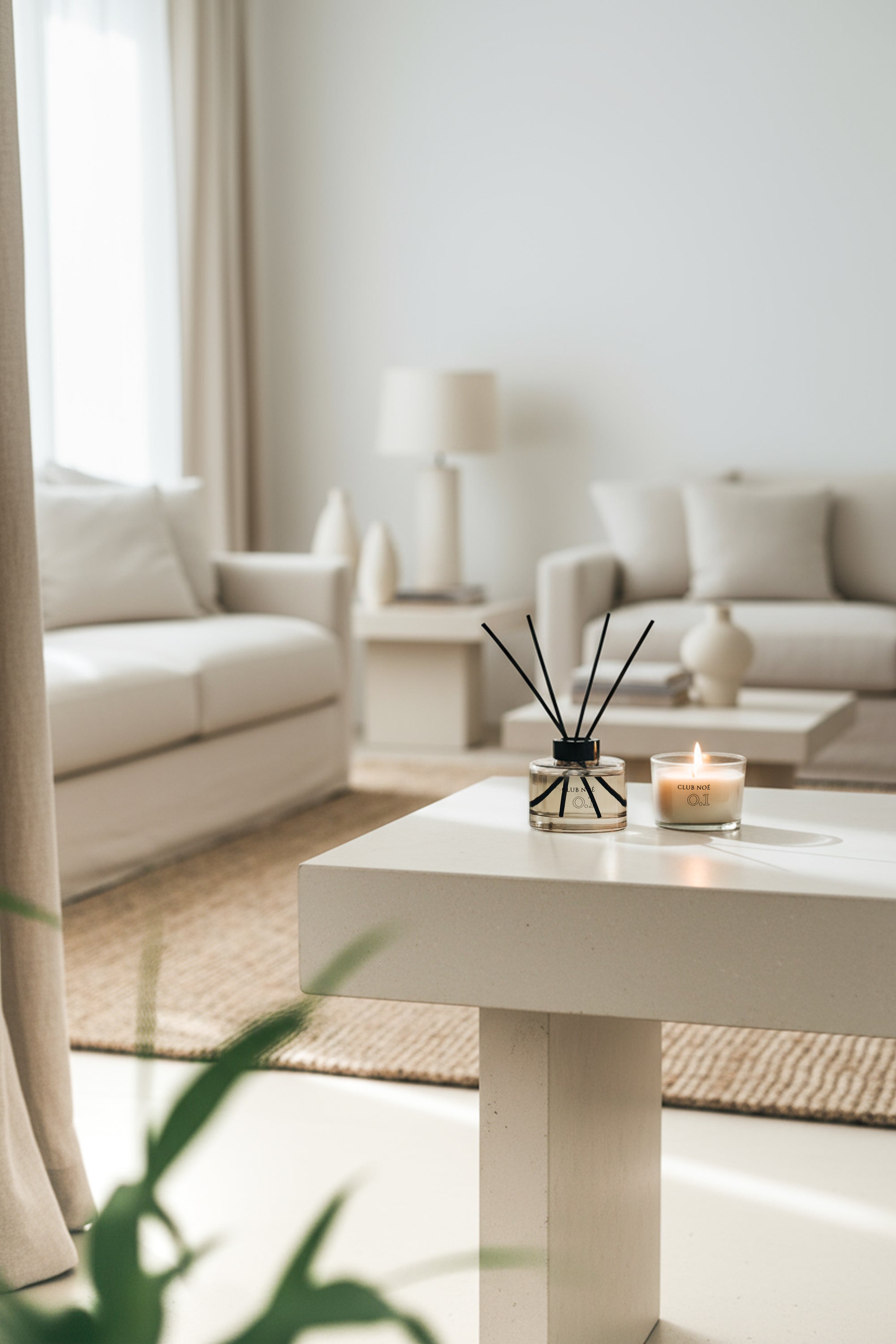 0.1 Home Fragrance Set